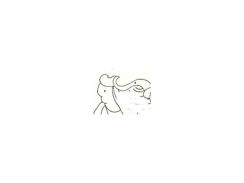 kembang waru-sash around hips-kings, gods